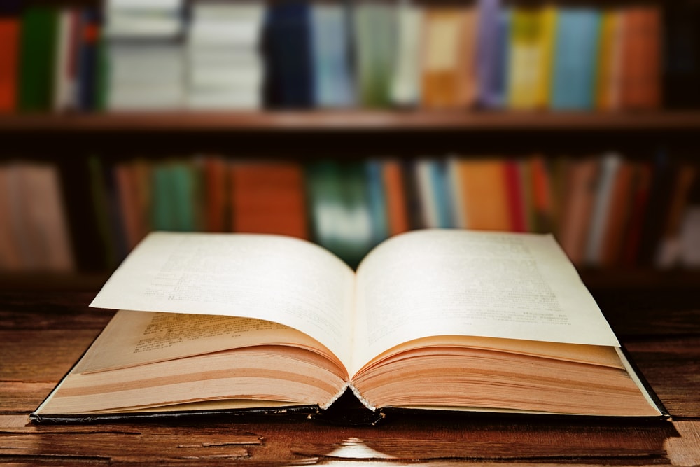  imagen bibliografía
